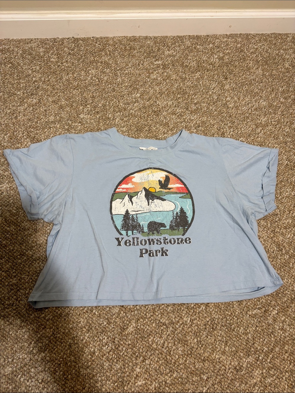 Yellowstone Park Graphic Tee - Light Blue Crop Top